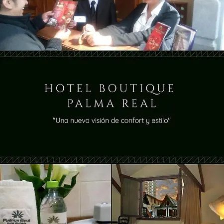Hotel Boutique Palma Real-2